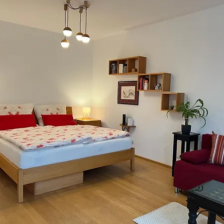 Garconniere Mit Wohlfuehlcharakter Апартаменты