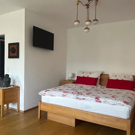 Garconniere Mit Wohlfuehlcharakter Апартаменты Грац