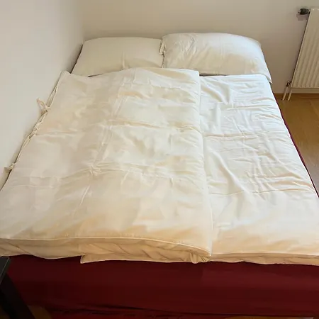 Garconniere Mit Wohlfuehlcharakter Грац