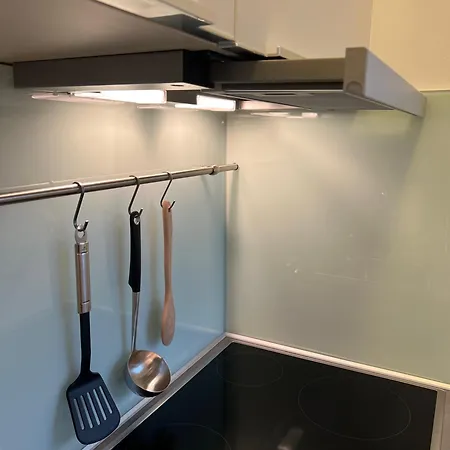 Garconniere Mit Wohlfuehlcharakter * Грац